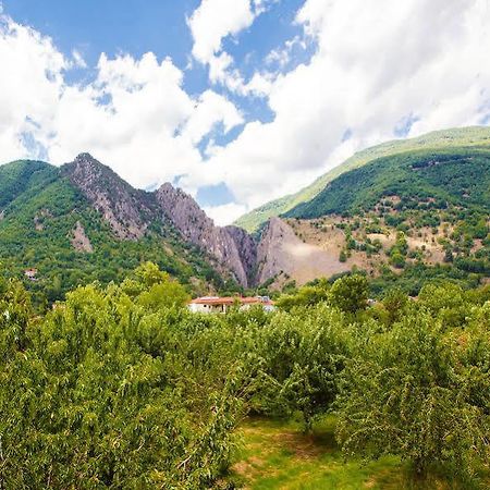 Irenes Resort Káto Loutrákion エクステリア 写真